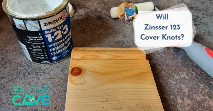 When Can I Paint Over Zinsser Primers? | The Bloke Cave